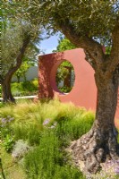 A orange compartment wall with a circular open window, underplanting with Stipa tenuissima and  large trees of Olive in Mediterranean garden. June
Designer - Alan Rudden
