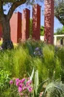 View of Mediterranean garden with a orange compartment pillars underplanting with Stipa tenuissima and  large trees of Olive. June
Designer - Alan Rudden