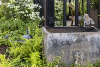 Square reclaimed metal container being used for rainfall collection with ferns, aquilegia and watering can - 'The Grand Appeal Garden' - designer Suzy Dean - RHS Malvern Spring Festival 2024