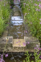 Cotswold stone rill with small fall running through wildflowers including Lychnis flos-cuculi - 'The Cotswold Garden' - designer Mark Draper Graduate Gardeners - RHS Malvern Spring Festival 2024