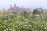 View of mixed annuals and perennials flowering in an informal country cottage garden in early Summer - May