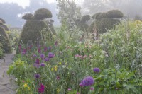 View of mixed annuals bulbs and perennials flowering in an informal country cottage garden in early Summer - May