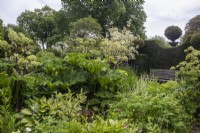 A wooden bench overlooks the bog garden with gunnera, angelica and hostas at Oxleaze Farm, Gloucestershire