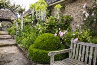 A wooden bench sits next to a border with topiary box, white wisteria and pink peonies at Oxleaze Farm, Gloucestershire.