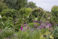 Flowers and clipped box in the vegetable garden at Oxleaze Farm, Gloucestershire, including Nigella damascena, digitalis, alliums and lavender. Trees and a pergola with vine add height.