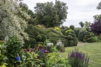 A long box hedge sculpted into curving shapes sits alongside lawn and summer borders planted with purple salvia and red Dianthus barbatus at Oxleaze Farm, Gloucestershire.